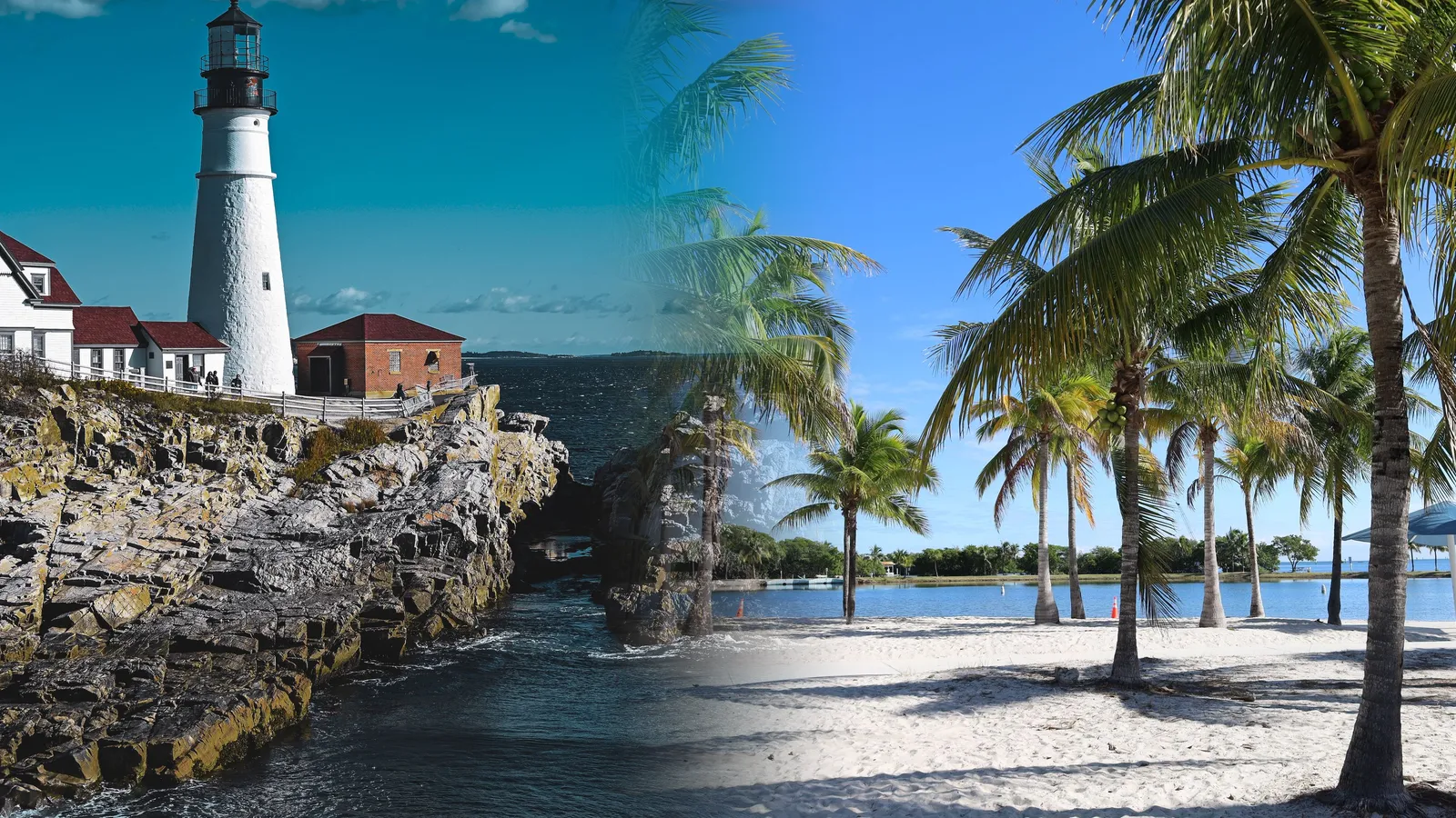 Portland Head Light on the Maine coast beside palm trees on a Florida beach